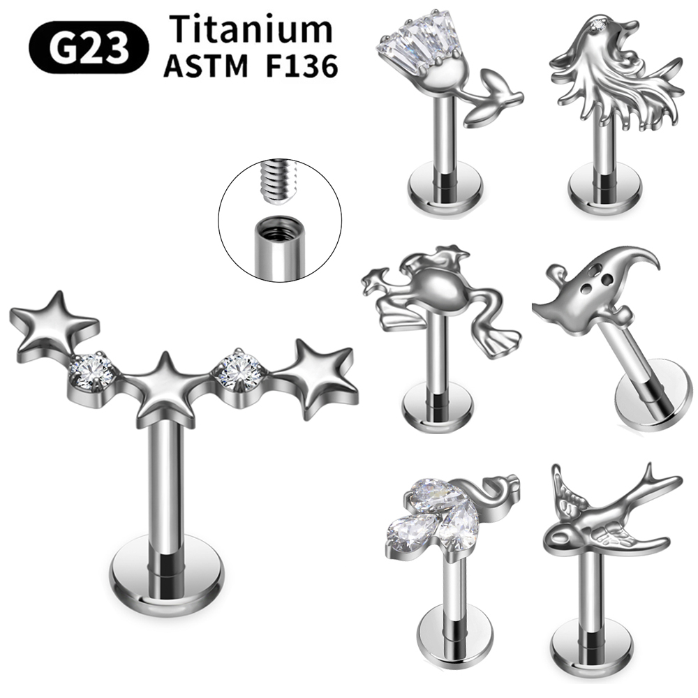 ASTM F136 G23 Titanium Piercin - đánh giá và giá Body Jewelry Changing Kit