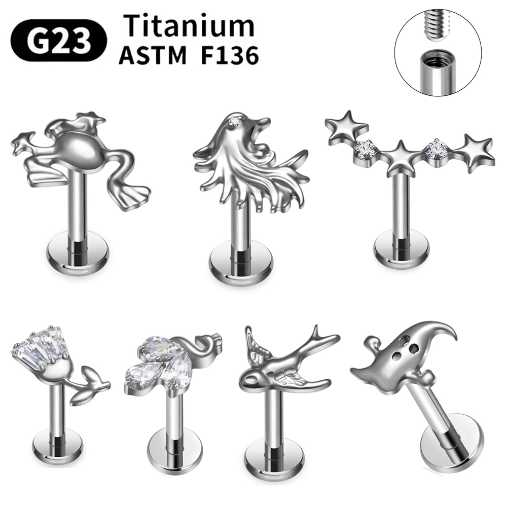 ASTM F136 G23 Titanium Piercin - đánh giá và giá Body Jewelry Changing Kit
