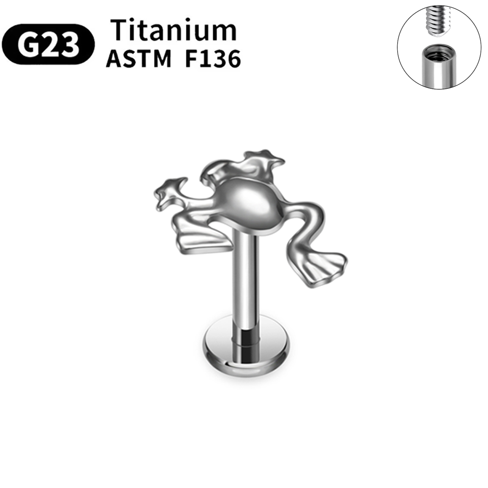 ASTM F136 G23 Titanium Piercin - đánh giá và giá Body Jewelry Changing Kit